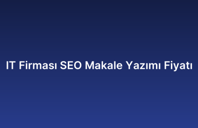 IT Firması SEO Makale Yazımı Fiyatı